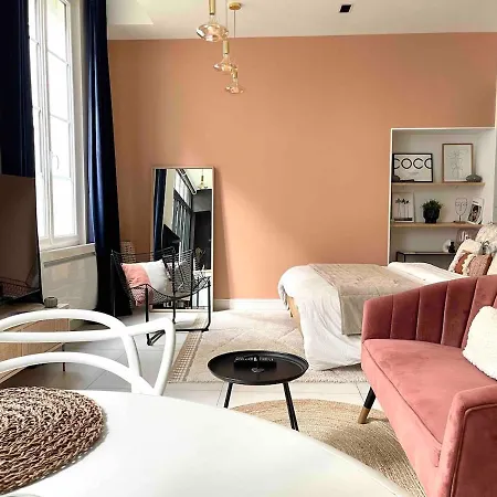De Luxe Dans Un Ancien Particulier Apartamento